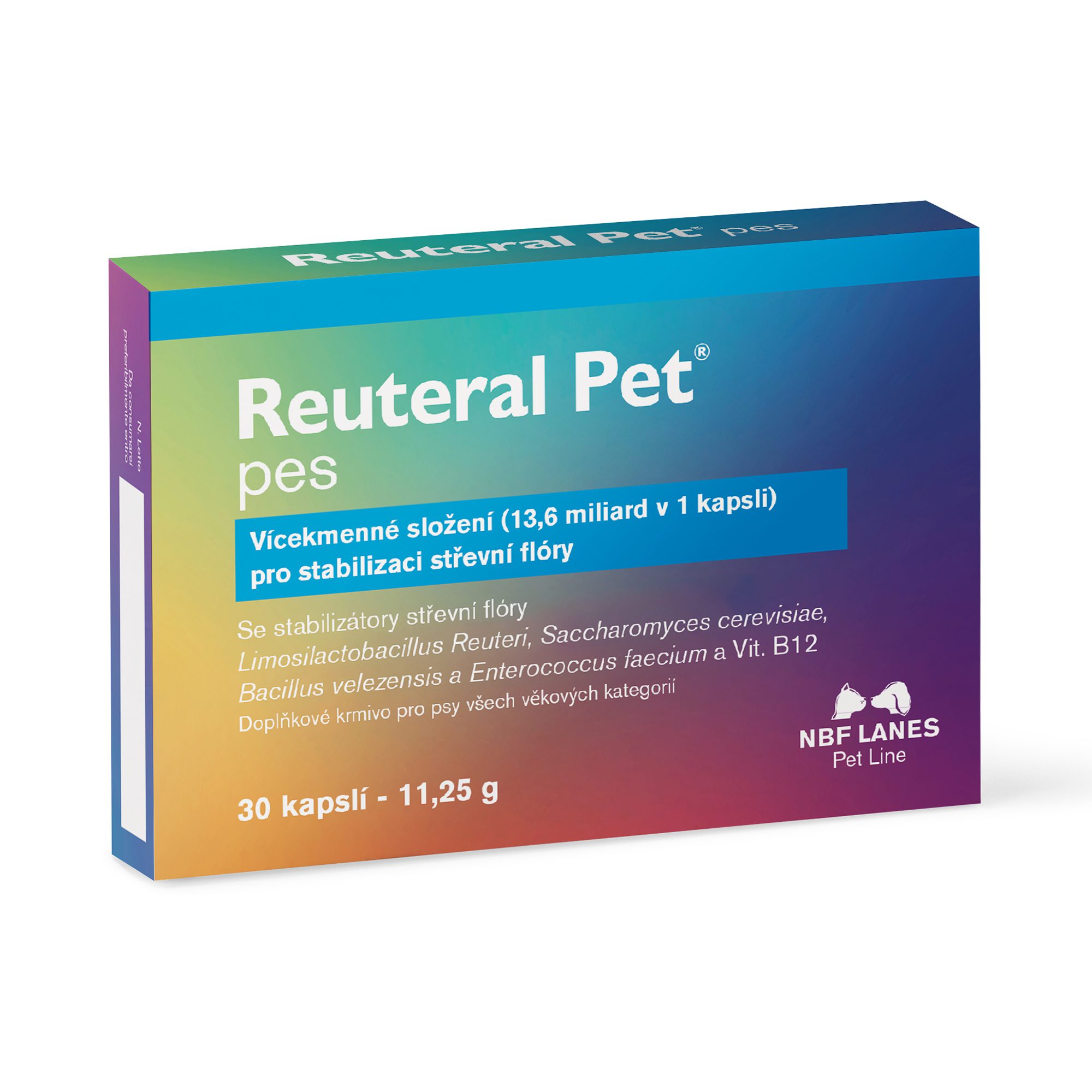 Reuteral Pet Pes – Stabilizace Střevní Flóry